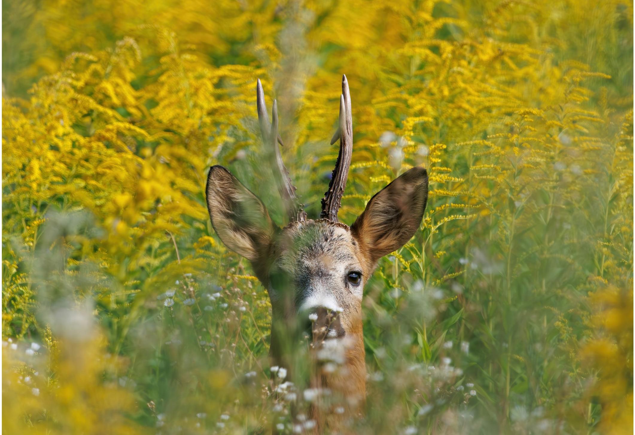 Многообразие мгновений