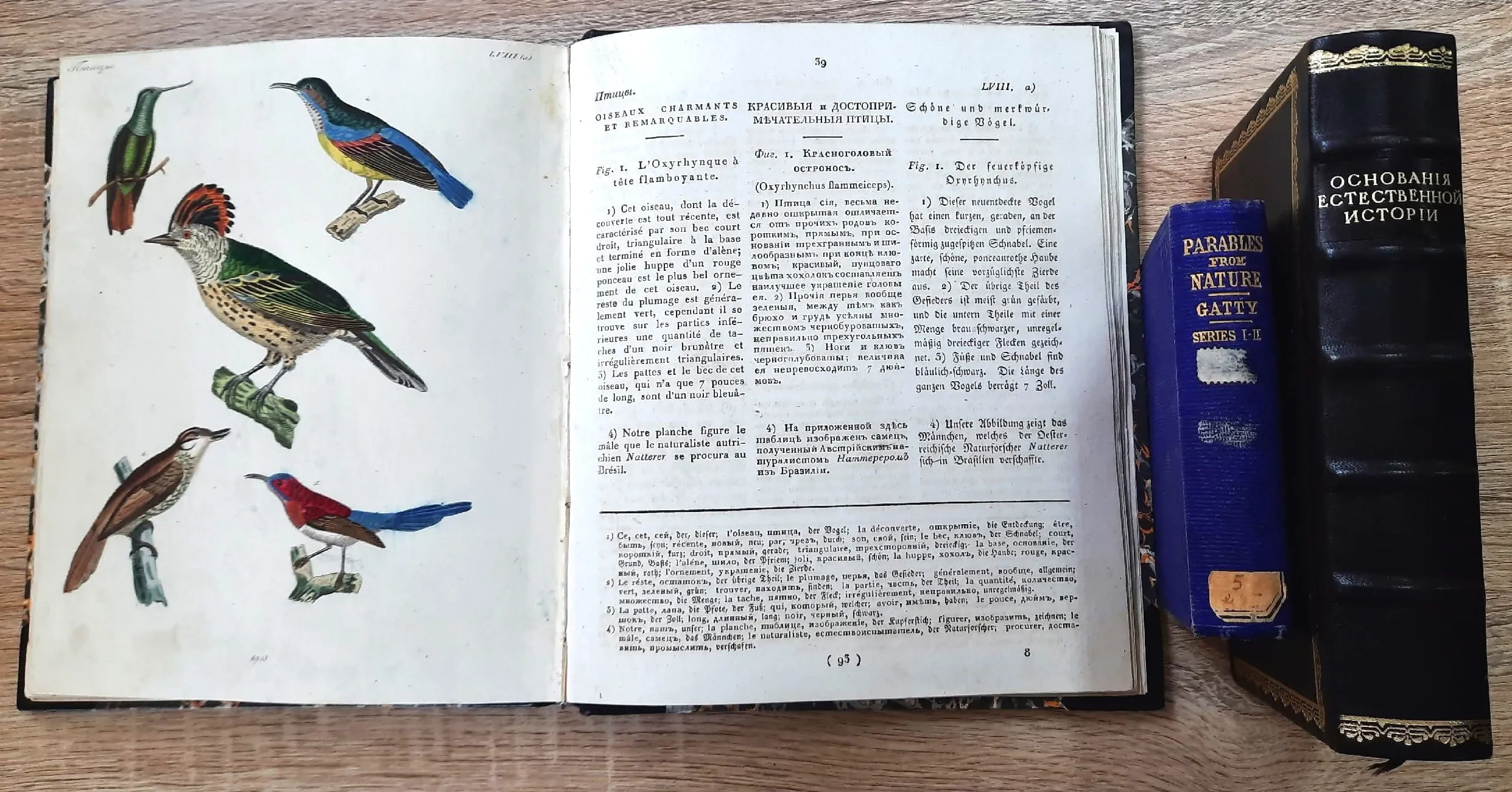 Знакомство с природой: издания XVIII – начала XX века для юношества