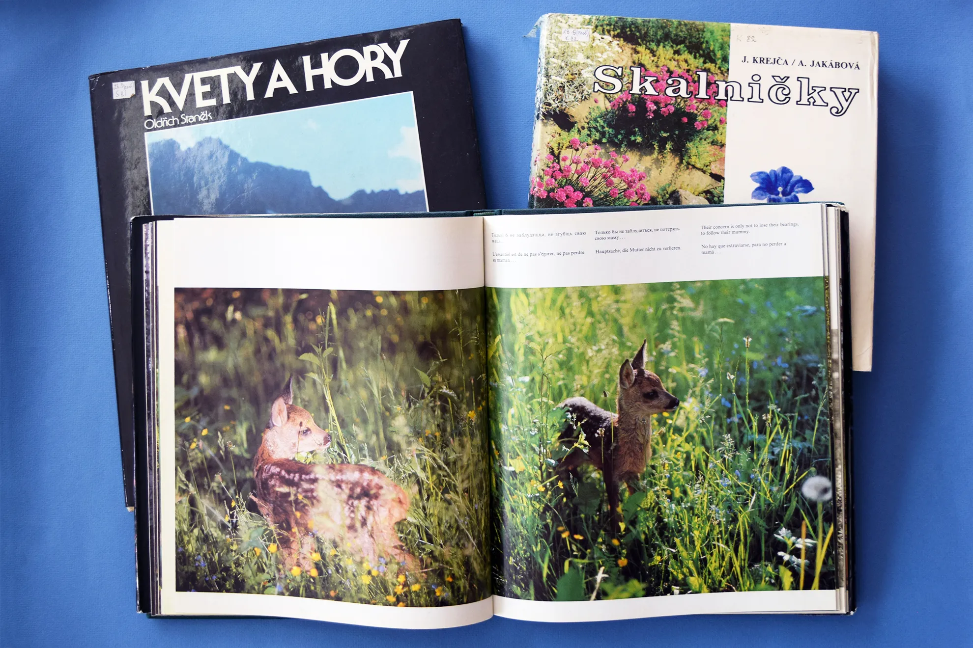 Пробуждение природы