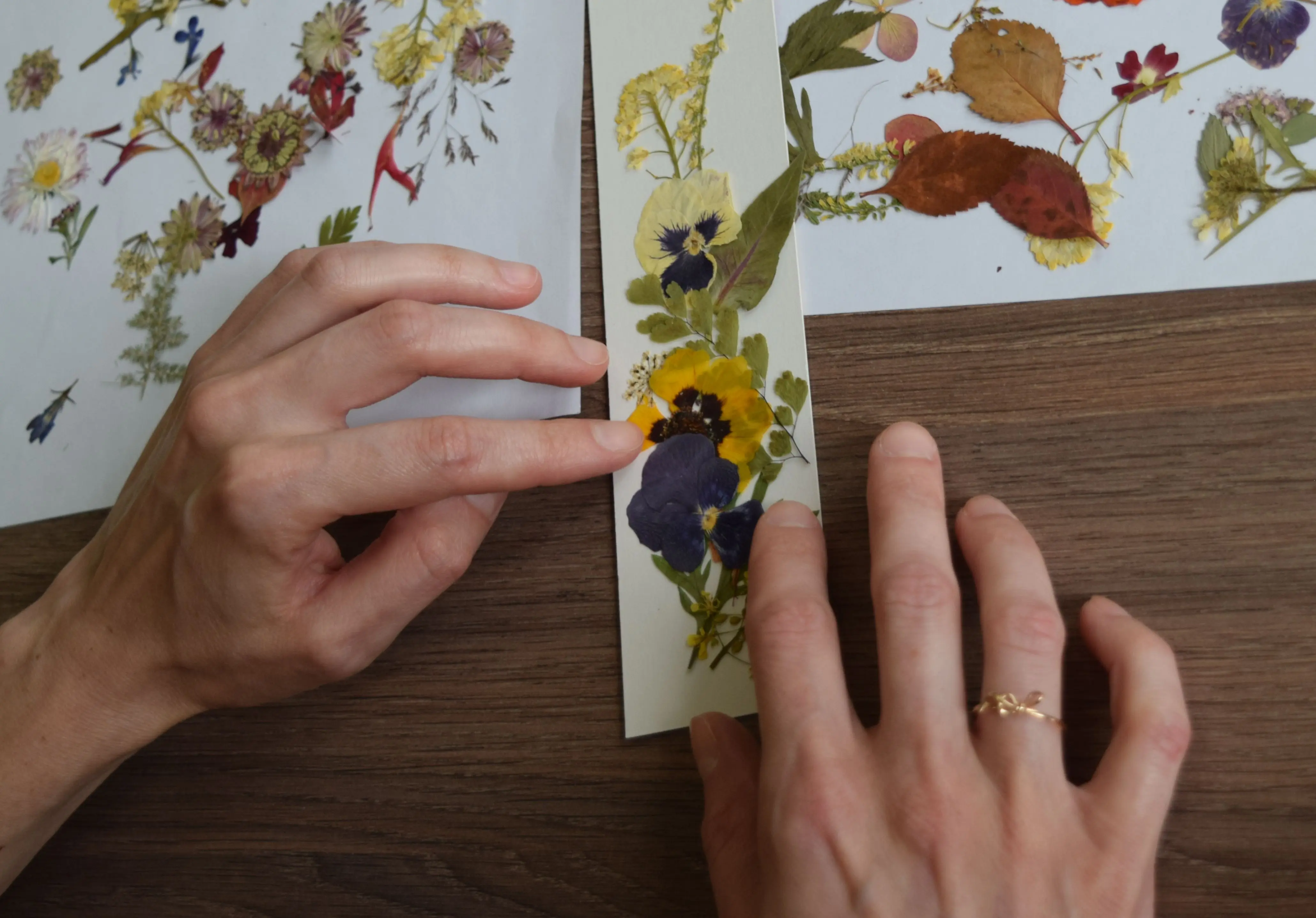 Ботаническая экспедиция