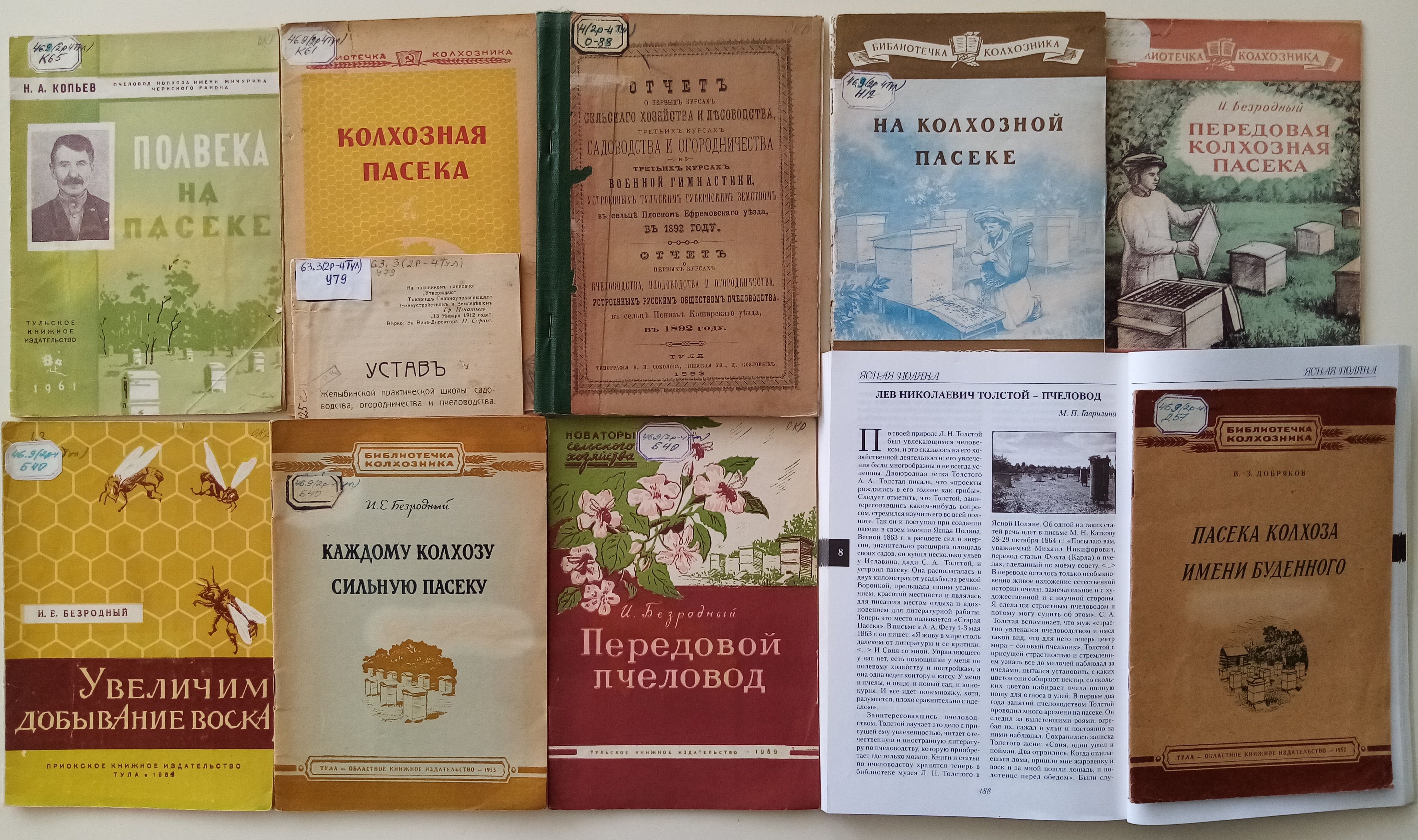 Как в Туле разводили пчел