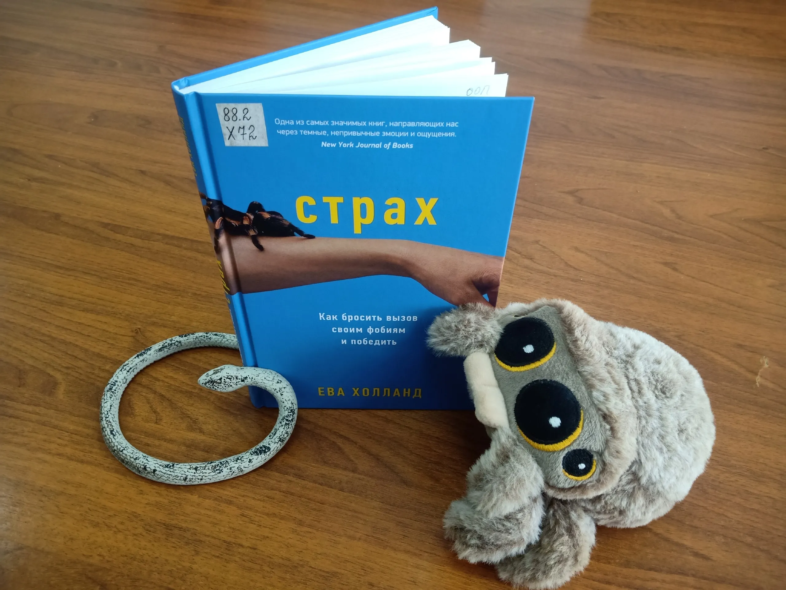 Страх: как бросить вызов своим фобиям и победить