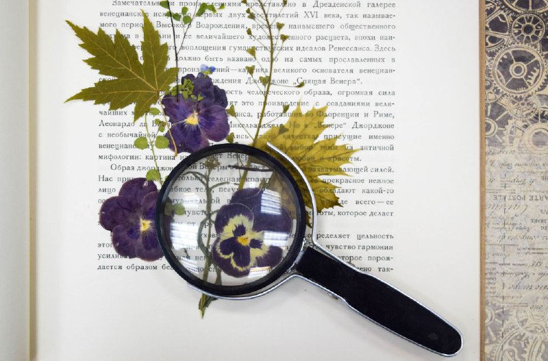 Этнографический календарь «Ботанический коллаж»