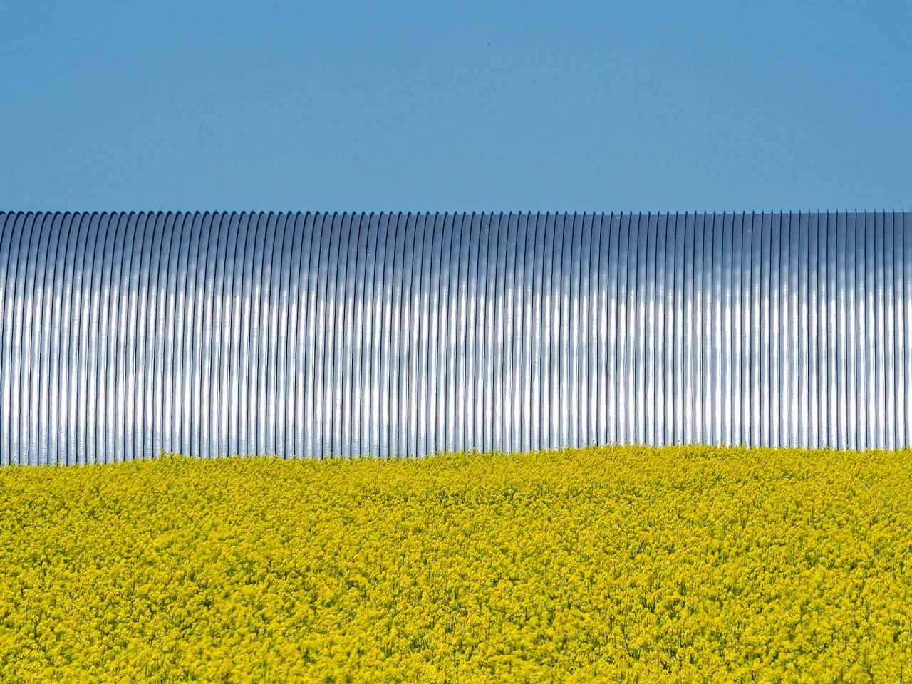 Линии и формы: от асфальта до полей