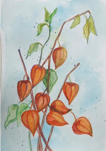 Атмосфера творчества: «Физалис»